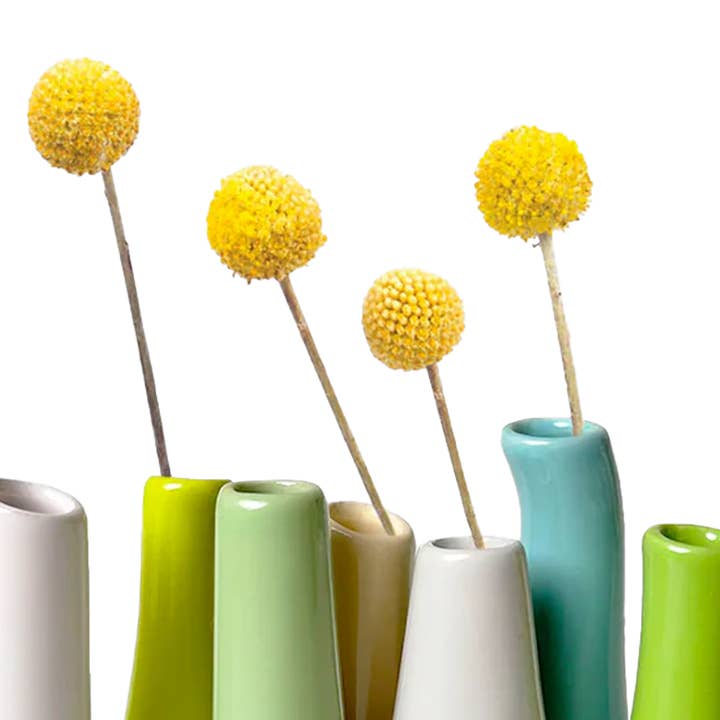 Chive - Wholesale Vase - Pooley Colorful Bud Vase For Flower Arranging Rectangular56