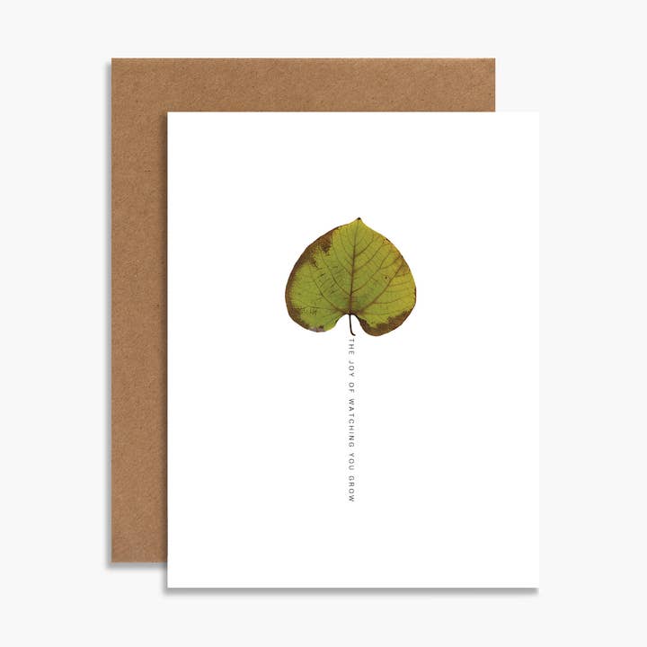 The Joy Of Watching You Grow Botanical Leaf verjaardagskaart voor wholesale door Souvenir Stationery