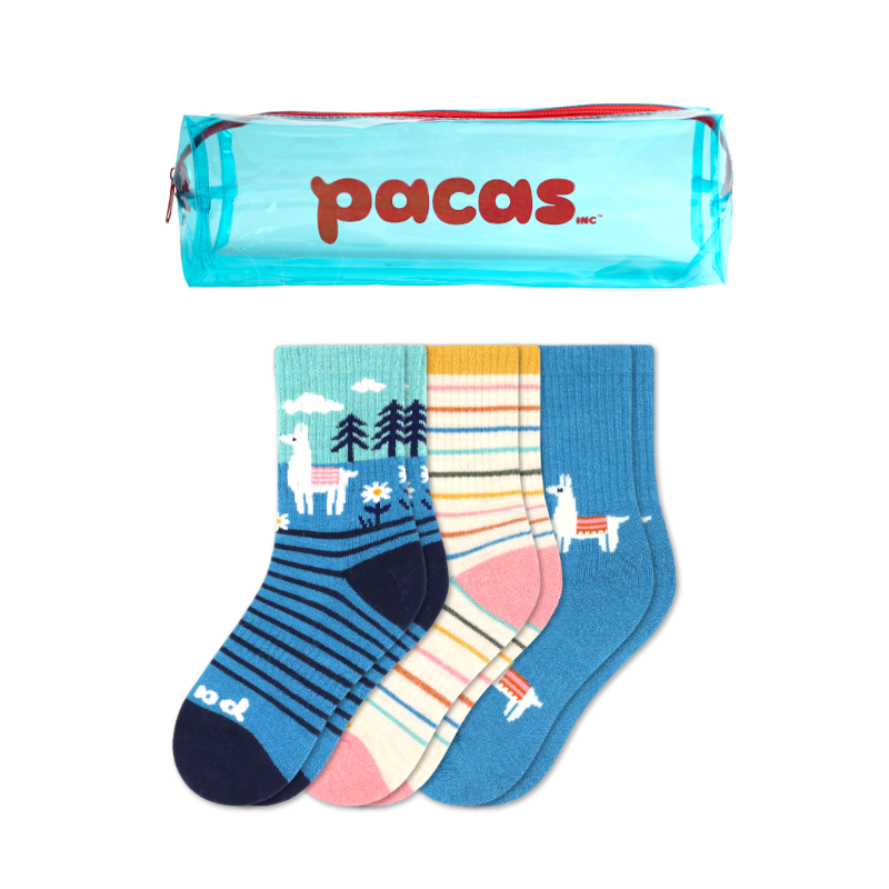 Pacas - Wholesale Socks - Kids - 3 Pack - Kids' Crew Pacas Socks6