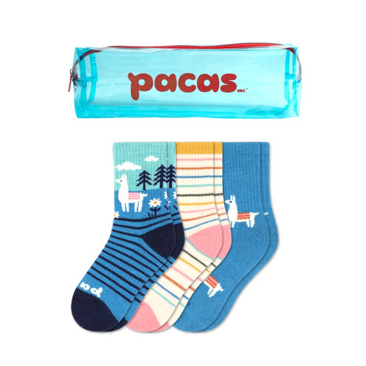 Pacas - Wholesale Socks - Kids - 3 Pack - Kids' Crew Pacas Socks32