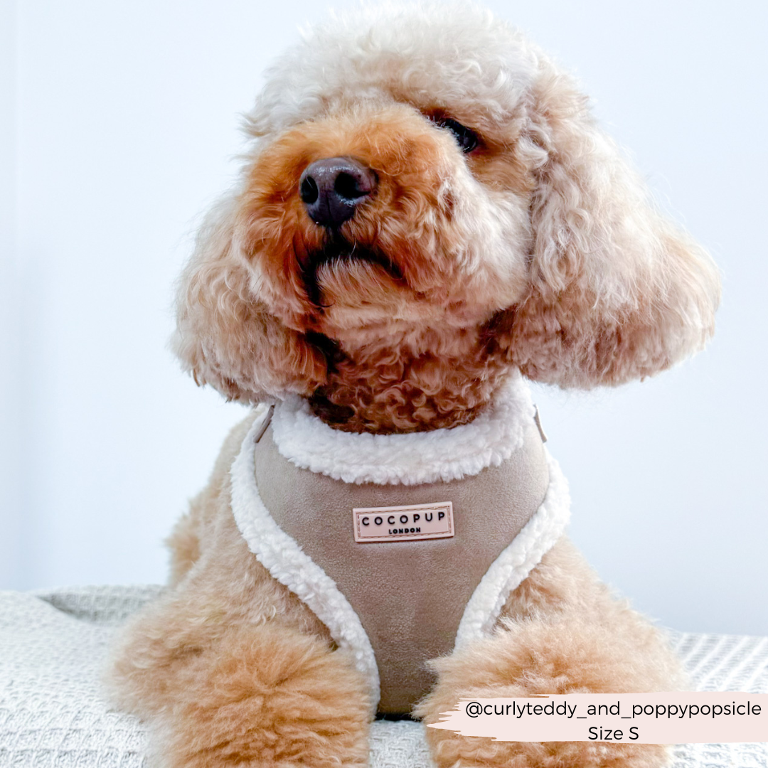 Cocopup London - Wholesale Pet Harness - Dog - Nude Aviator Adjustable Neck Harness7