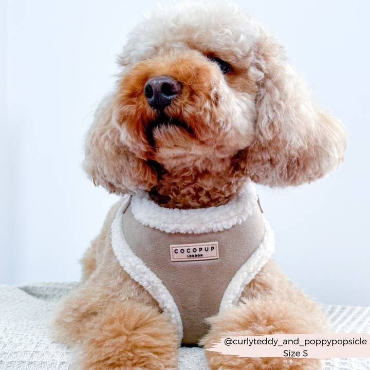Cocopup London - Vendita all'ingrosso Pettorina - Cani - Pettorina da collo regolabile Nude Aviator7