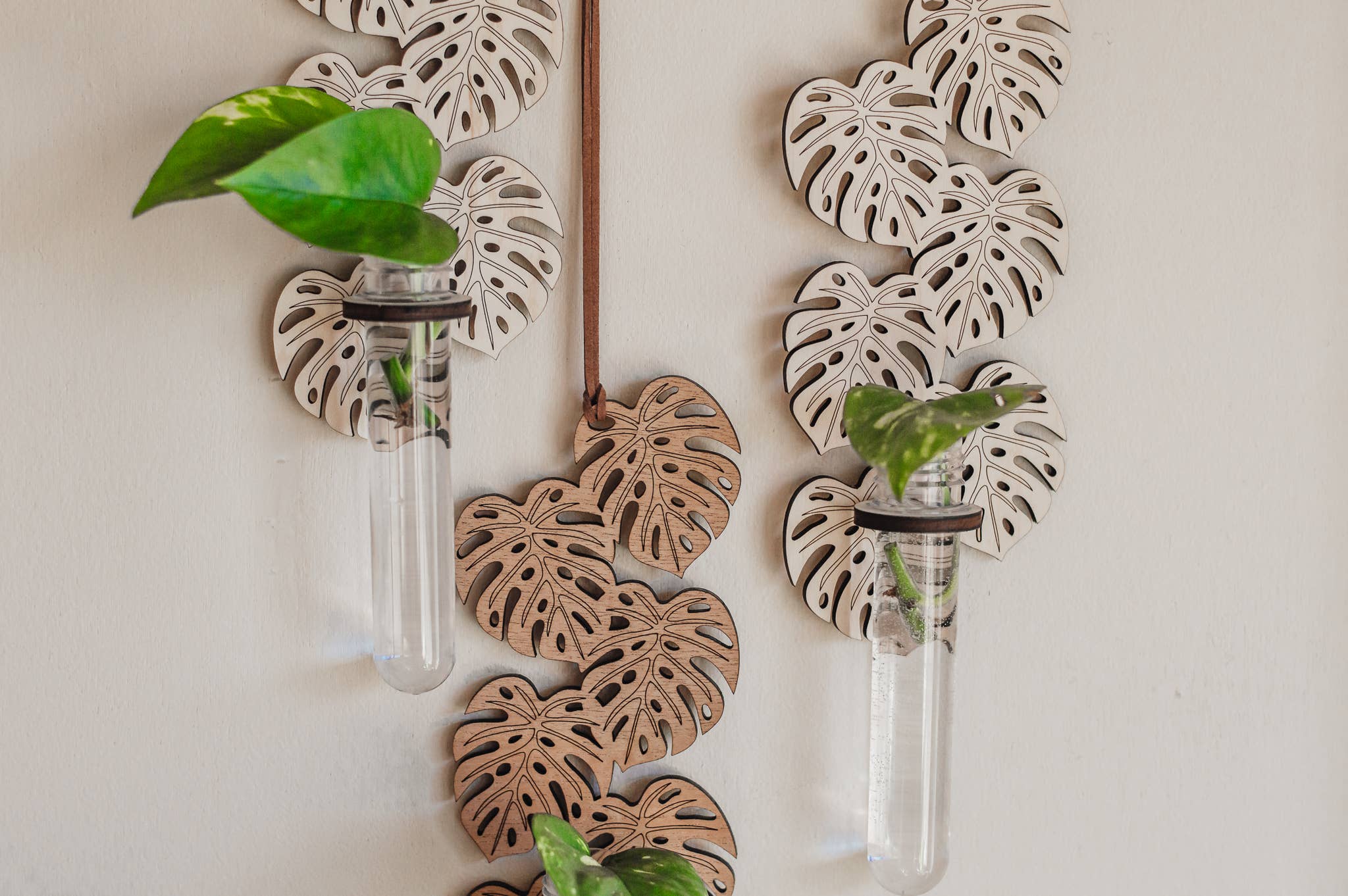 PlantsNsht - Wholesale Hanging Planter - Monstera Hanging Propagation Station - Choose Your Color3