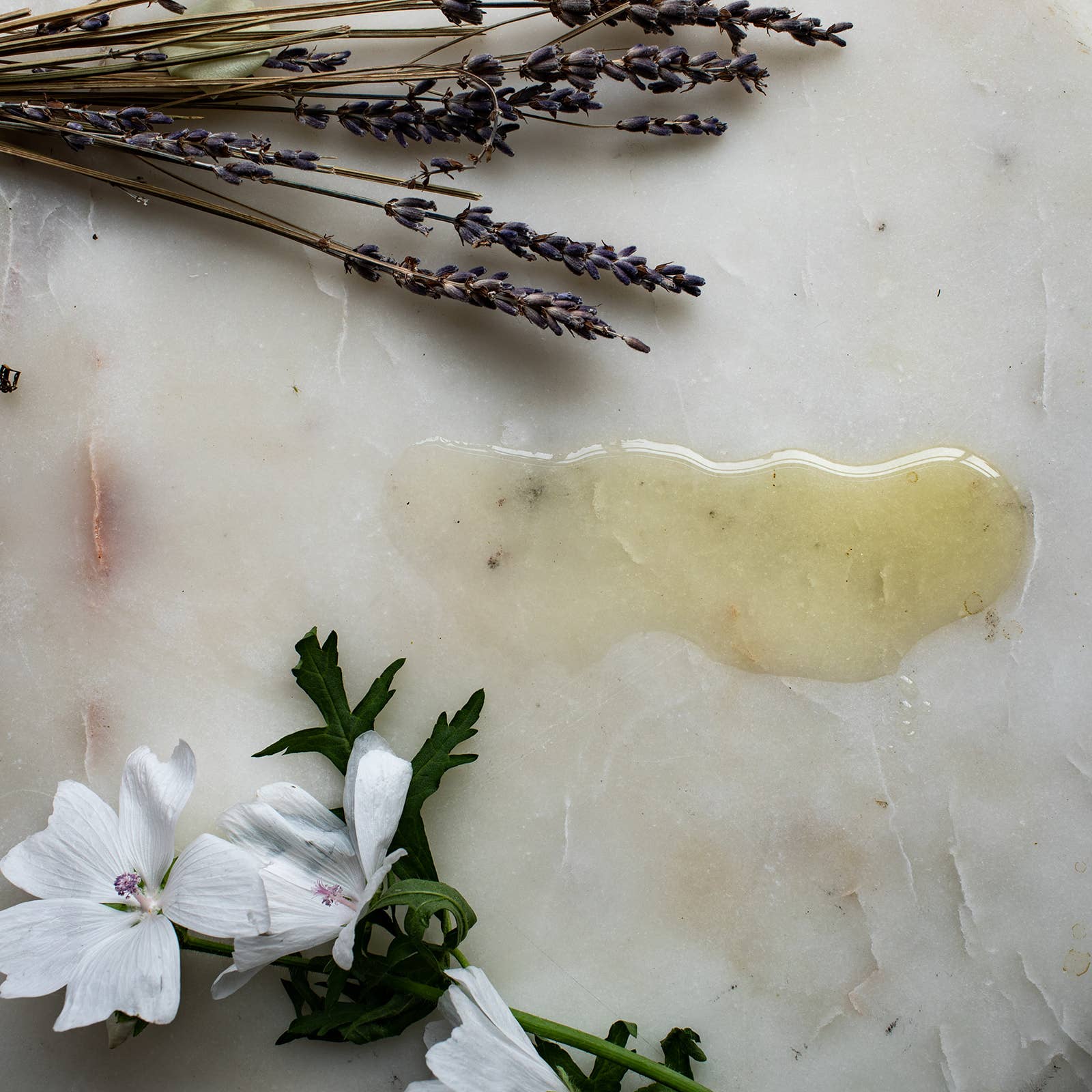 Daughters of Flowers - Wholesale Facial Cleanser - OENONE CLEANSING OIL with summer lavender, marshmallow root2