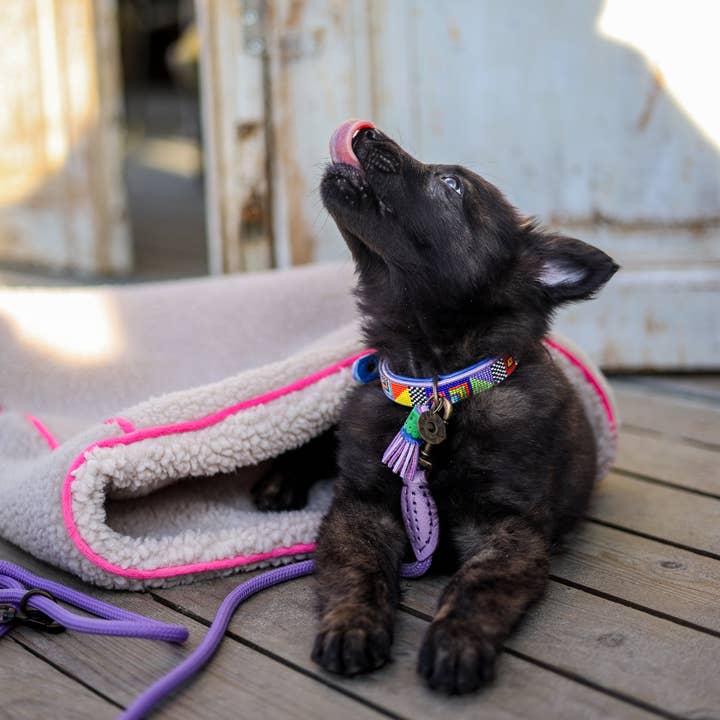 Dog with a Mission – Großhandel Haustierbett – Hund – Teddy Dream Luxus Schlafsack in Rosa für kleine Hunde2