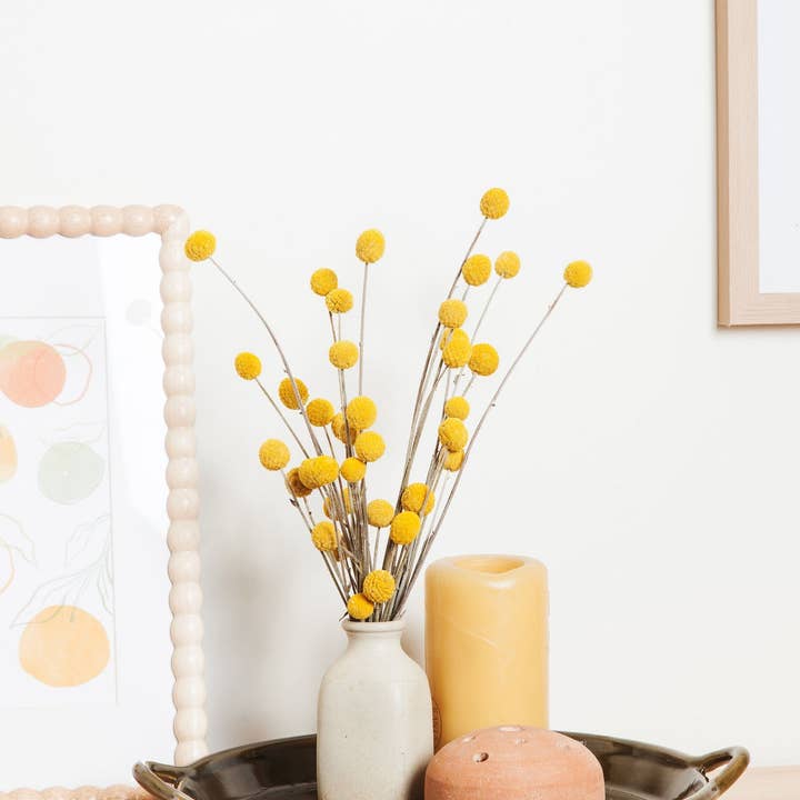 Idlewild Floral Co. - Wholesale Dried/Pressed Flowers - Dried Yellow Billy Balls1