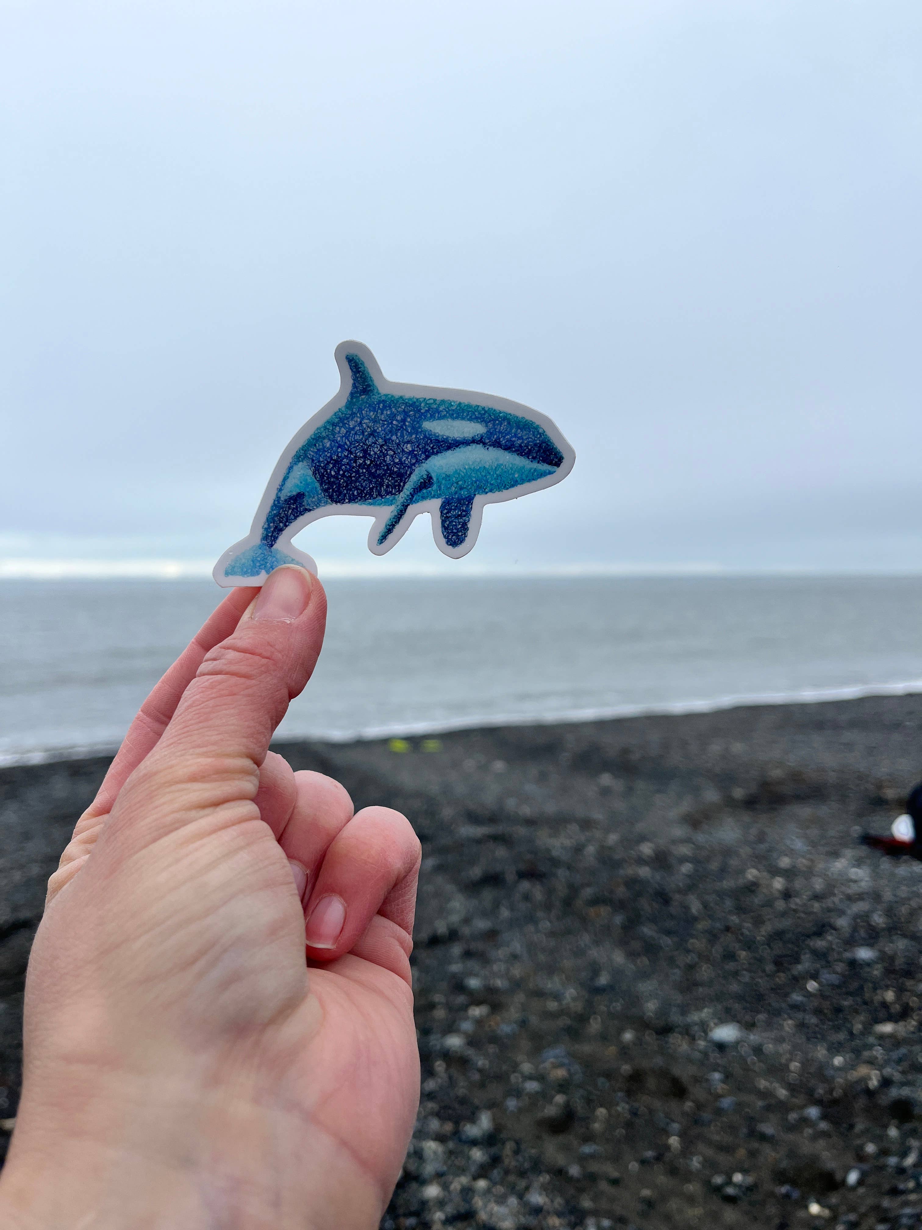 Sea Spray AK - Wholesale Sticker - Orca Whale Vinyl Sticker, Killer Whale, Ocean 1