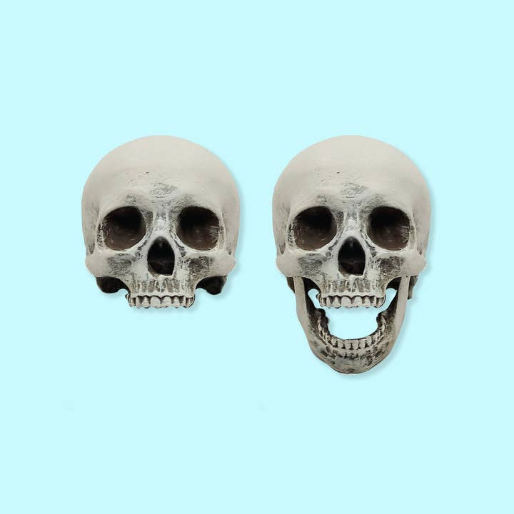 The Scale Grail - Wholesale Decorative Figurine - Human Skull with bottom jaw, for 12 inch scale dolls, playhouse, scale dioramas, horror scenes, terrariums. 1:6 scale skull (1 skull)