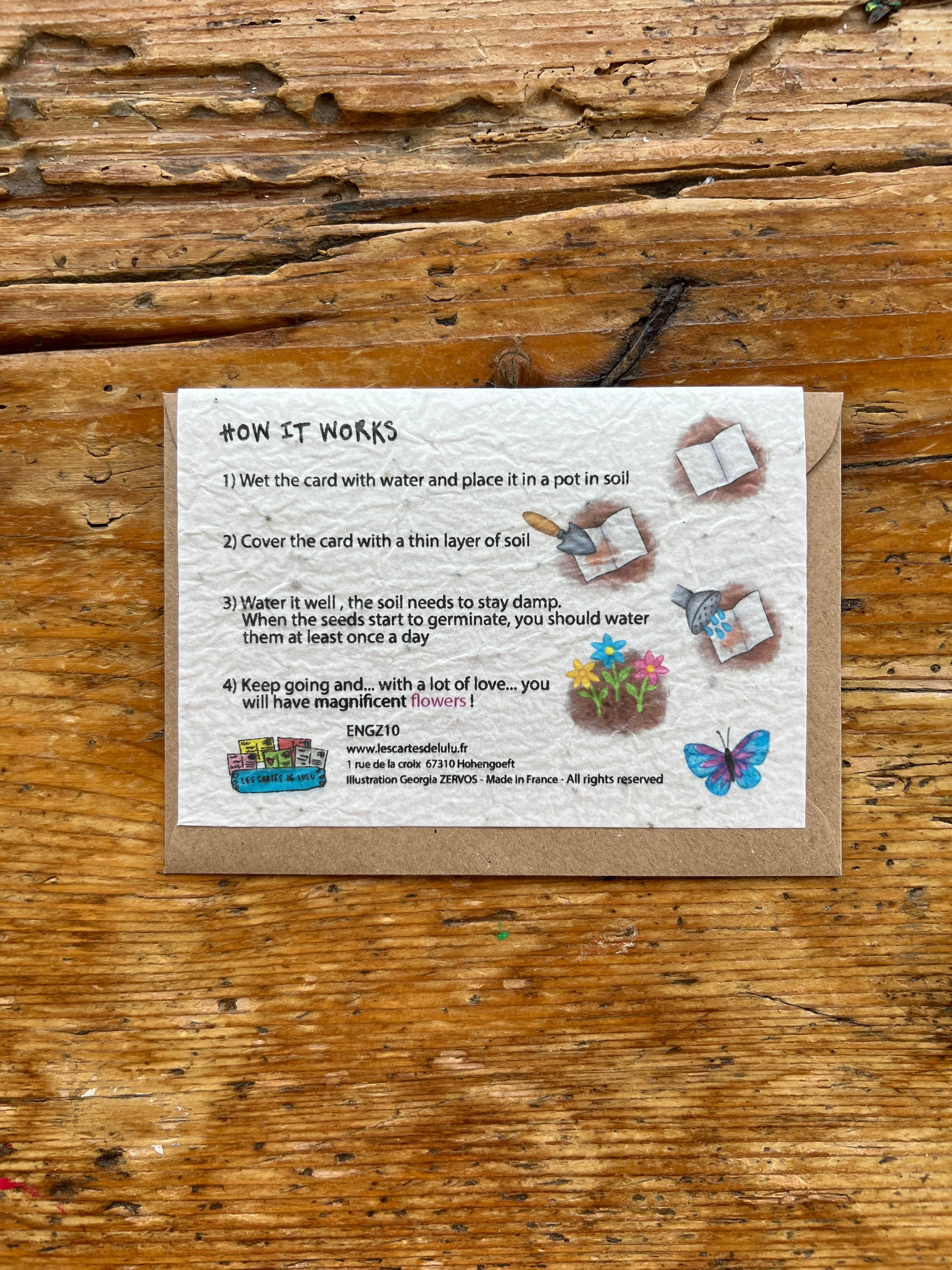 Les cartes de Lulu - Vendita all'ingrosso Biglietti di auguri - Biglietto di auguri di buon compleanno con semi a forma di pianta, in inglese1