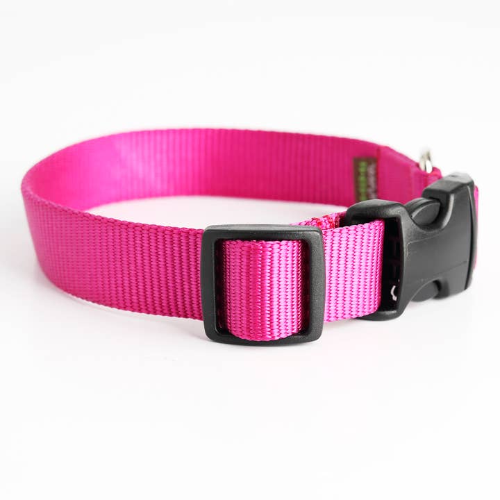 Mimi Green - Wholesale Pet Collar - Dog - Nylon Webbing Dog Collars - 27 Colors!2