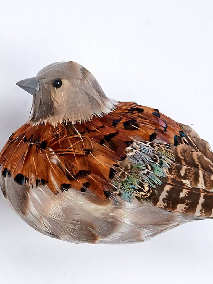 5" Feathered Partridge for wholesale by WORTH IMPORTS