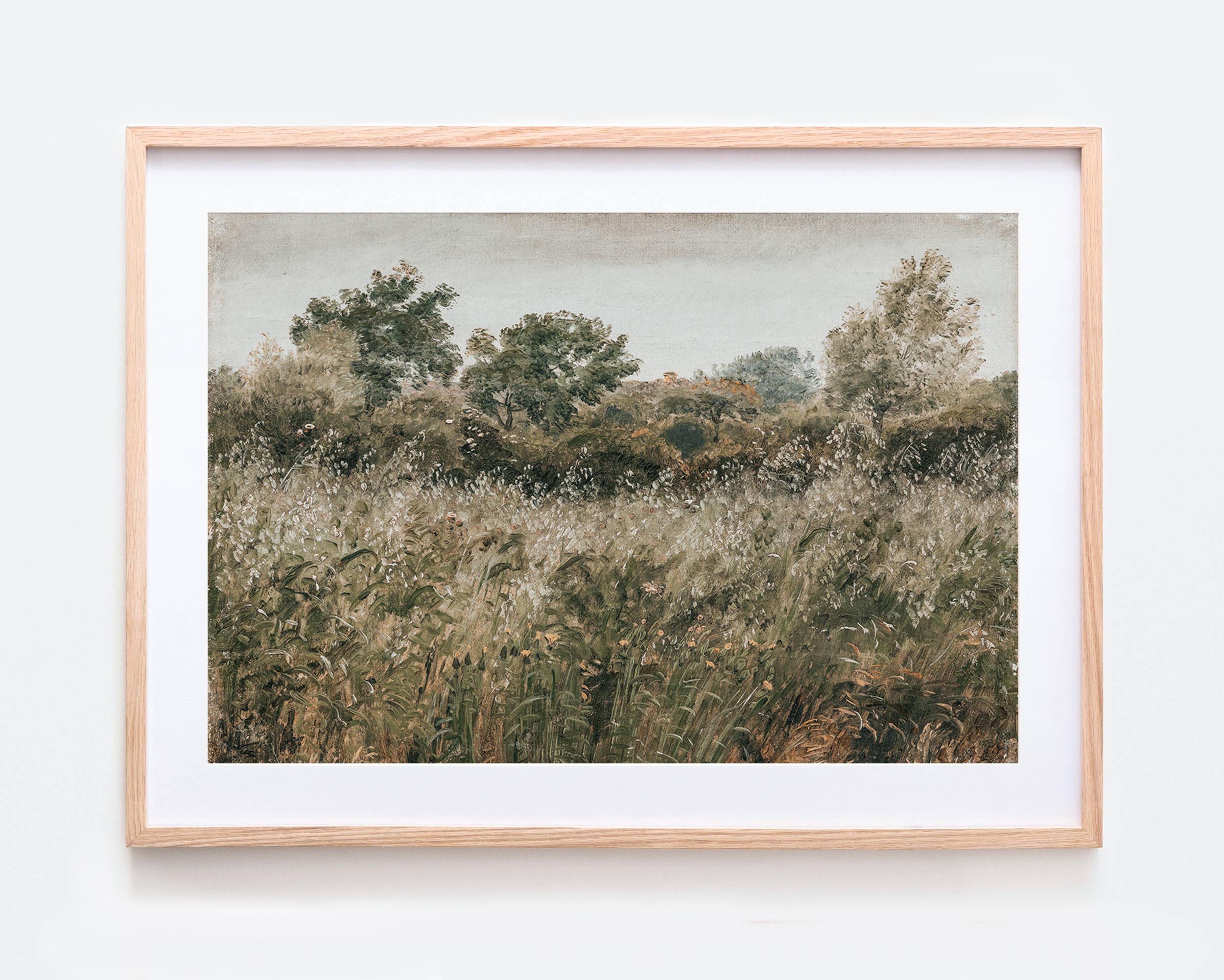 Sugar & Canvas - Wholesale Art Print - Rustic Vintage European Flower Grass Field Art Print VP612