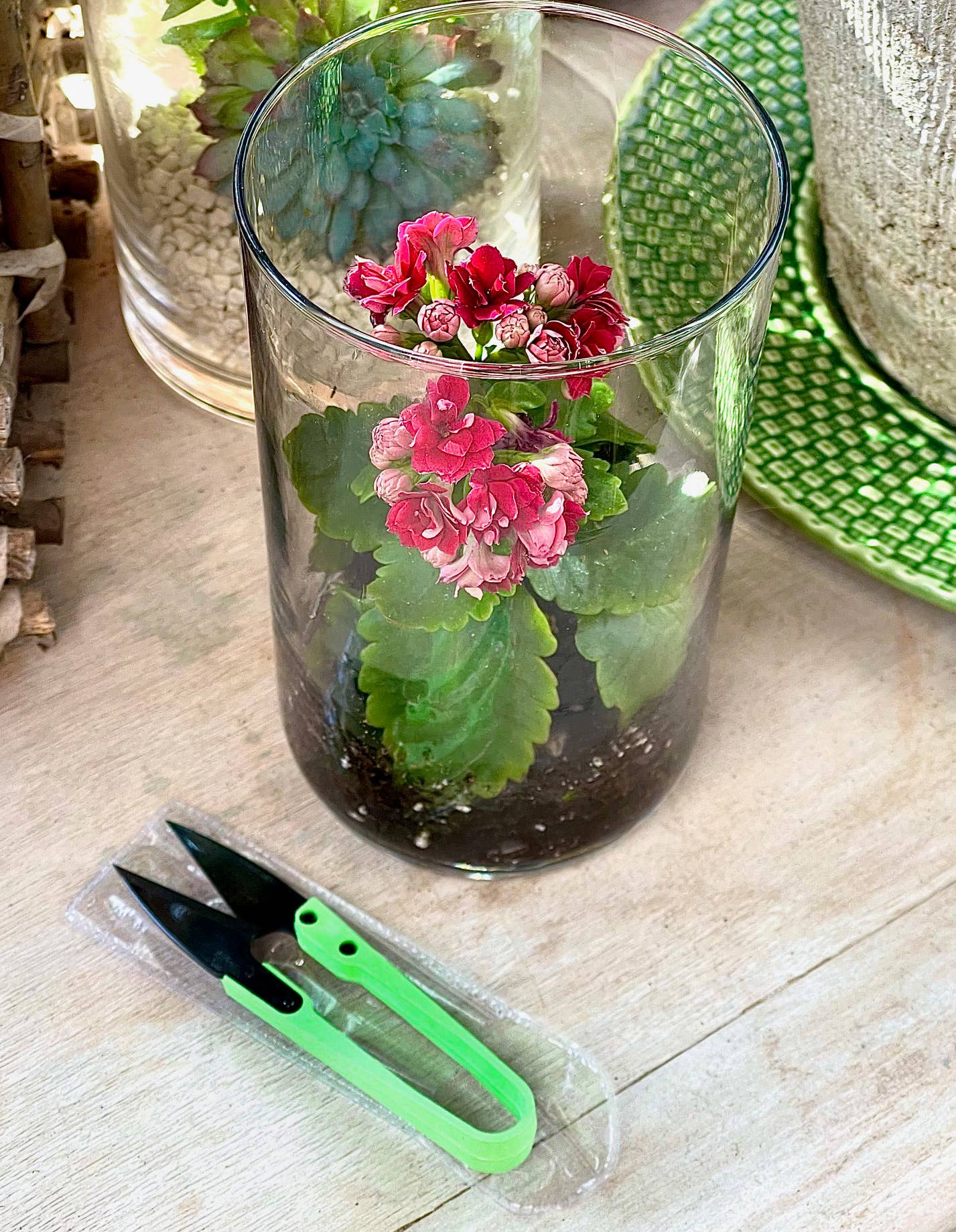 Womanswork - Wholesale Garden Tool - Garden Plant Snips-- Garden of Paradise4