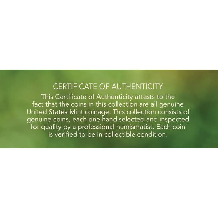 American Coin Treasures - Wholesale Keepsake Coin/Token - Buffalo Nickel Coin Set Genuine US Five Cent Coins6