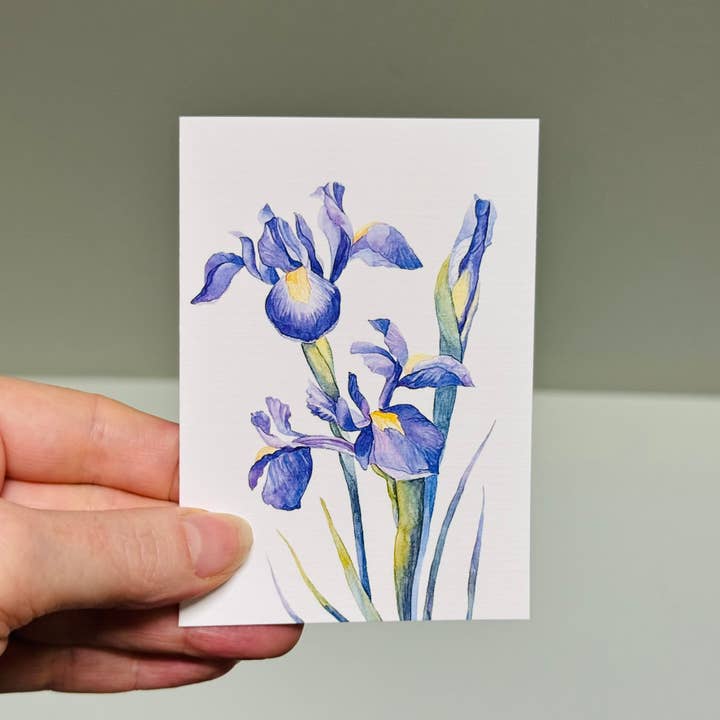 Scattered Seed Co - Wholesale Stationery/notecard set - IRIS greeting cards set of 4 Mini or Regular size4