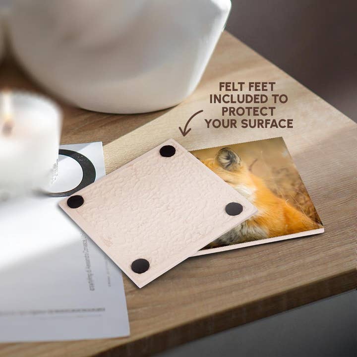 3dRose - Wholesale Coasters - 3dRose, Red Fox, Coaster3