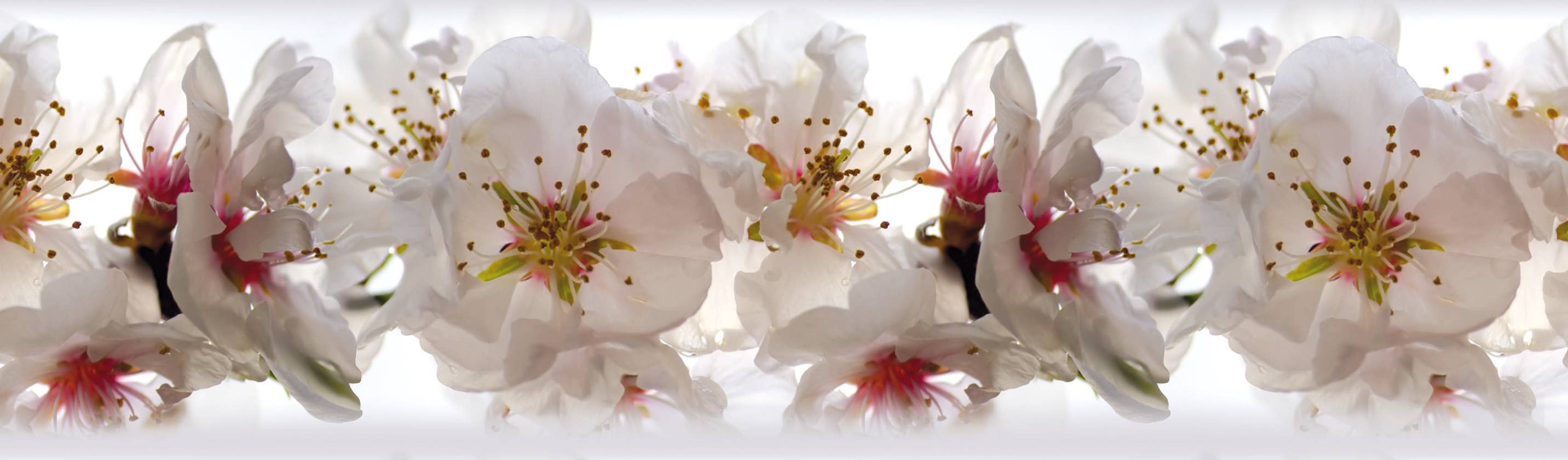 The Design Department b.v. – Rolo de papel de parede por atacado – Flores autoadesivas de papel de parede3