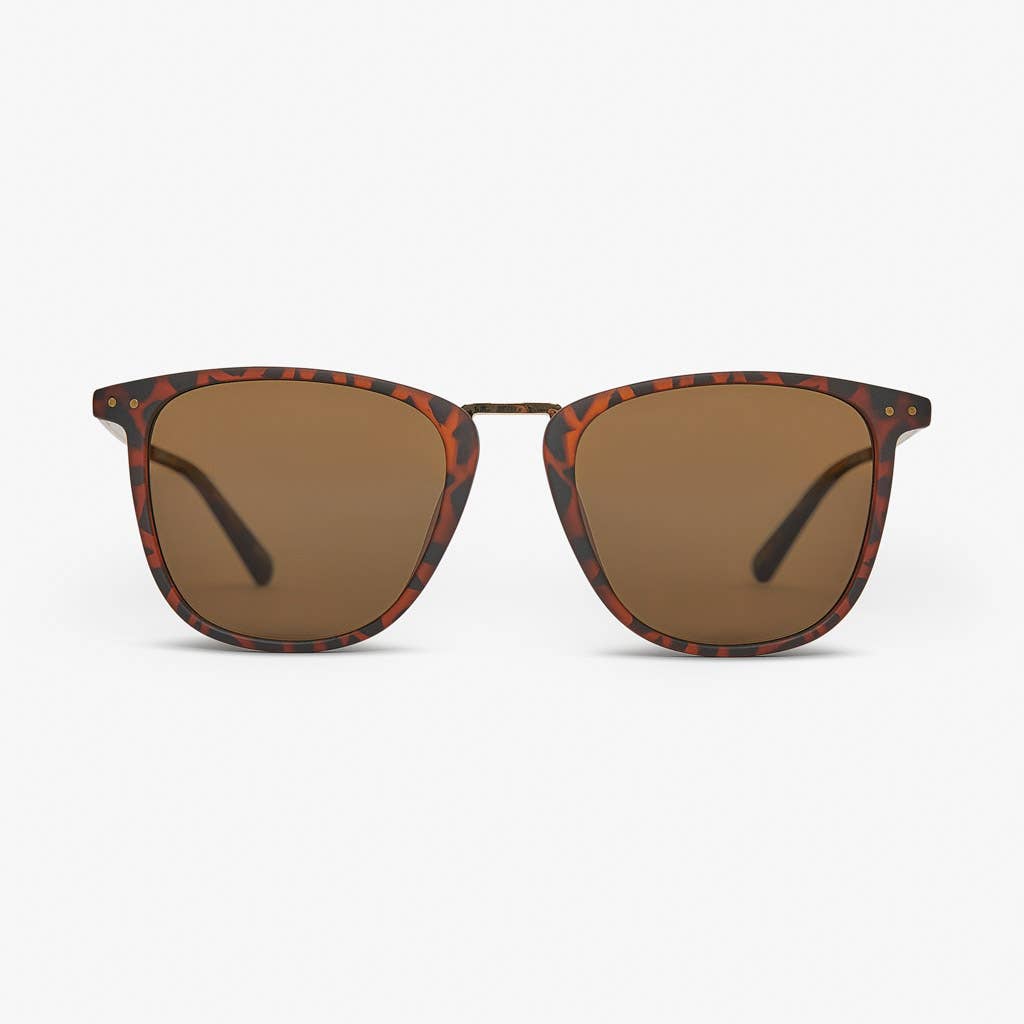 Local Supply - Wholesale Sunglasses – Unisex - NYC (New York) Polarized Sunglasses29