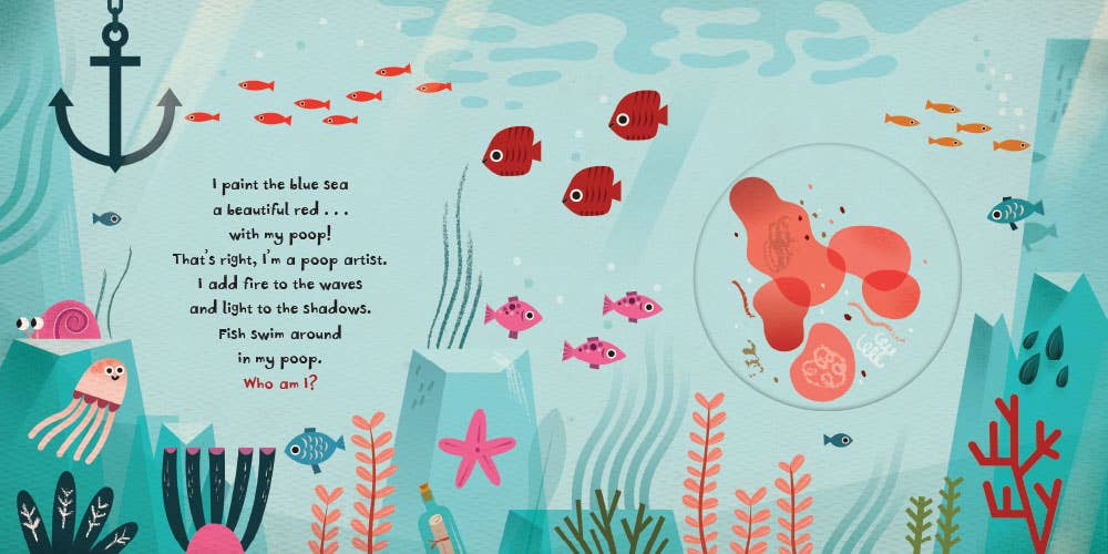 Barefoot Books - Wholesale Preschool Book (3-5) - Poop!3