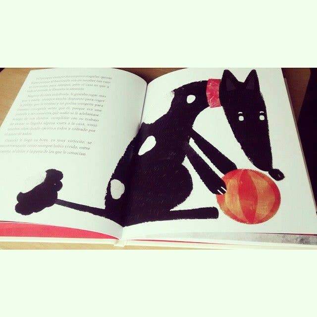 Pintar-Pintar Editorial - Wholesale Pets - Yumper5