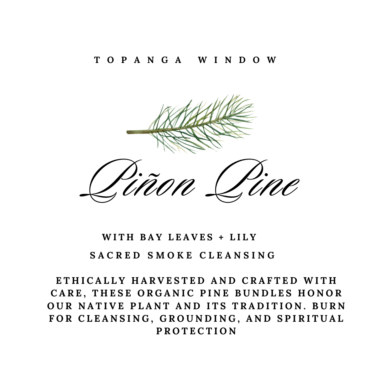 Topanga Window – Engroshandel Salviepakke – Piñon Pine Laurbærblade Røgrensningsbundt5