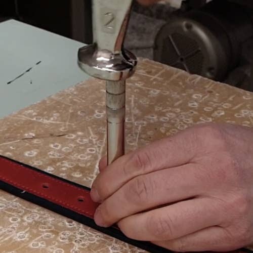 Tailorbelt - Wholesale Belt - Men's - Green and blue men's sports belt4