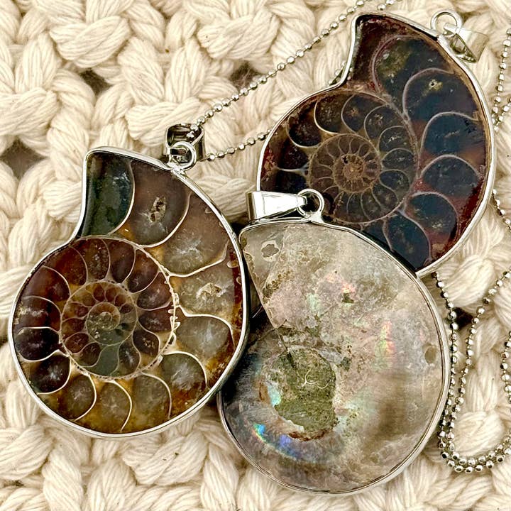 Liv Rocks - Wholesale Pendant/Charm Necklace - Ammonite Fossil Pendant Necklace with Silver Chain1