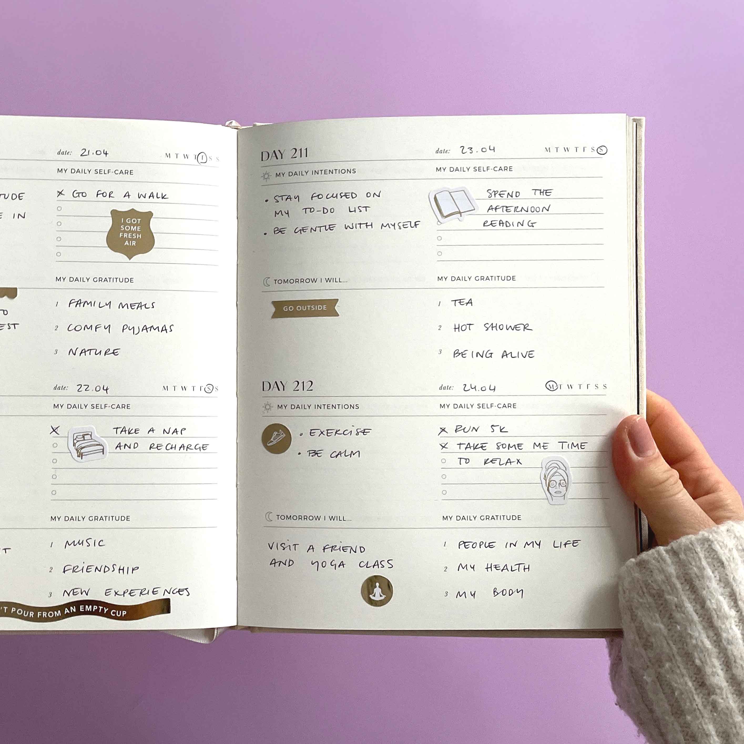 Blush And Gold – Großhandel Aufkleber – Self-Care-Aufkleberpaket (3 Blatt)7