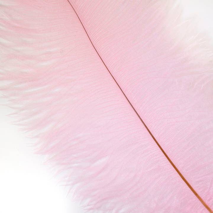 Store strudsefjer - 17"+ Drabs - Candy Pink for engroshandel hos Zucker Feather Products