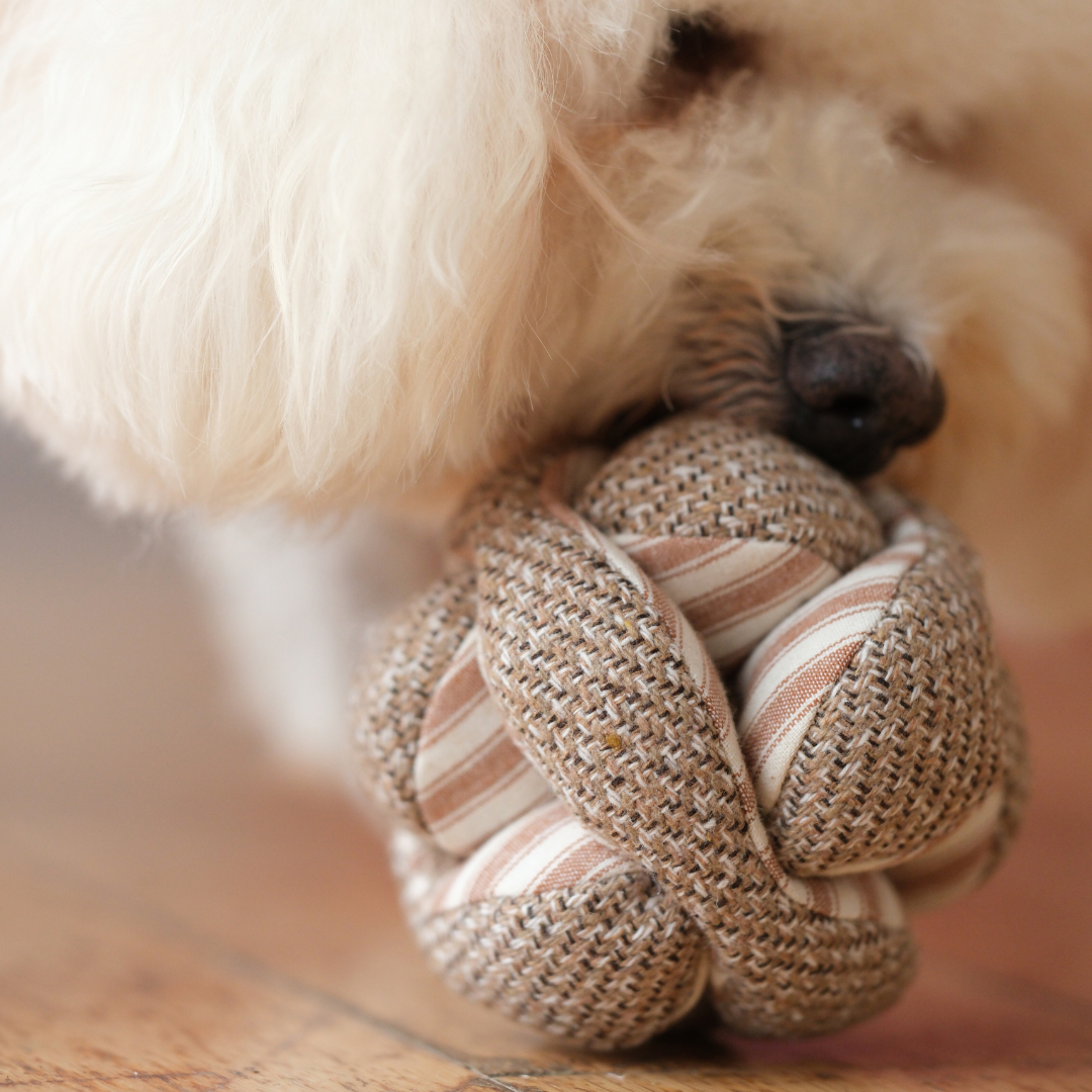 Lambwolf Collective - Wholesale Pet Chew Toy - Dog - MINI MONTI //Enrichment Toy4