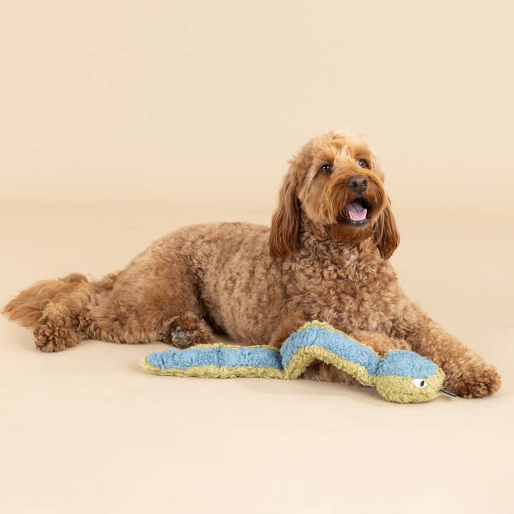 Petshop by Fringe Studio - Wholesale Pet Plush Toy - Dog - EARTH FRIENDLY DOG TOY DON'T GET WRAPPED UP