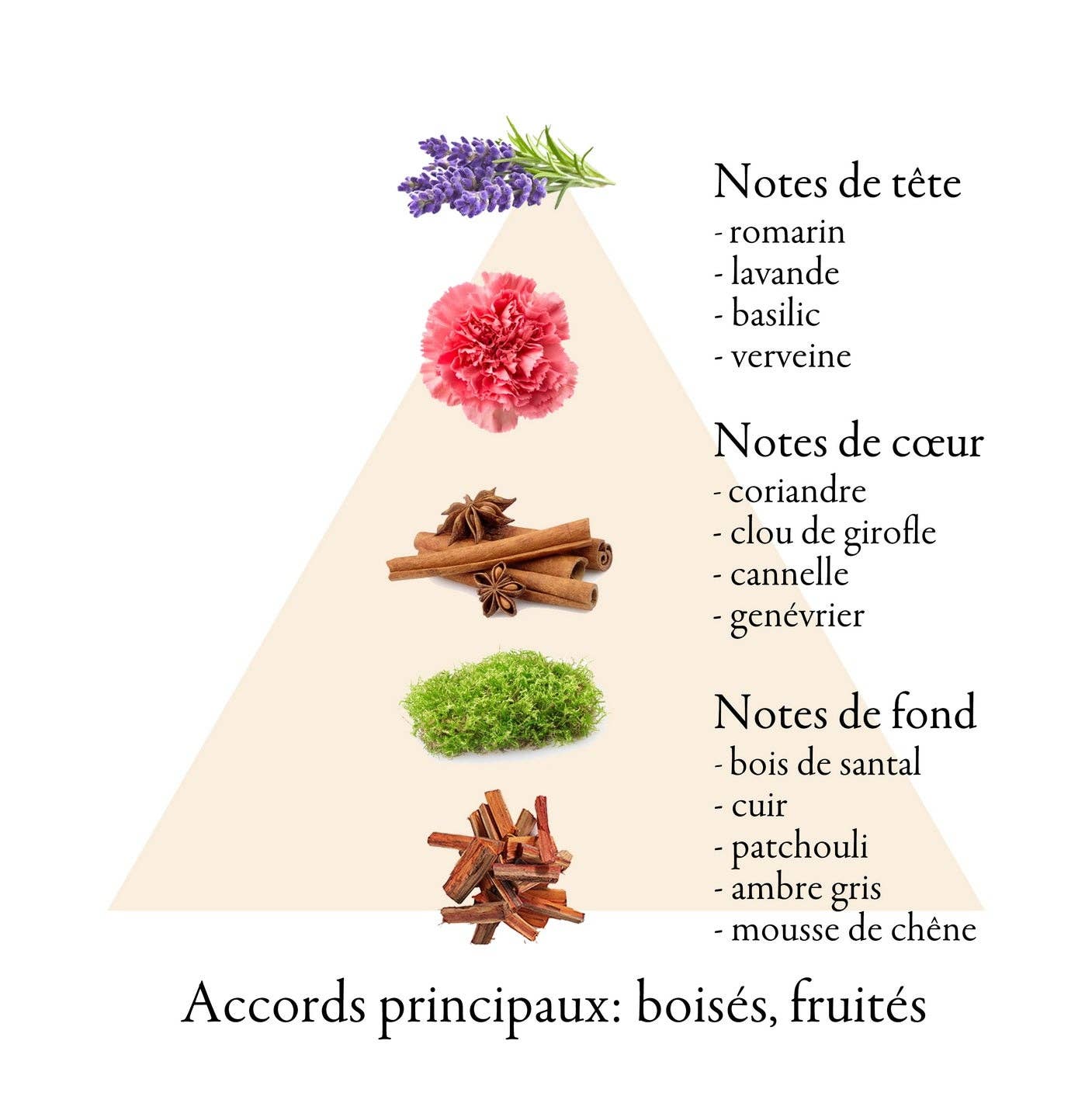 FAMILLE GRASSE PARFUMS - Vendita all'ingrosso Profumi/Eau de toilette - RELOAD eau de parfum per uomo 100 ml3