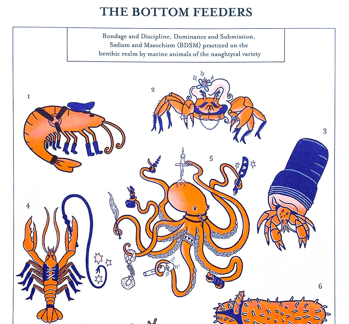 Tamiko Sidore Studio - Wholesale Art Print - Bottom Feeders Scientific Illustration - Risograph Print2