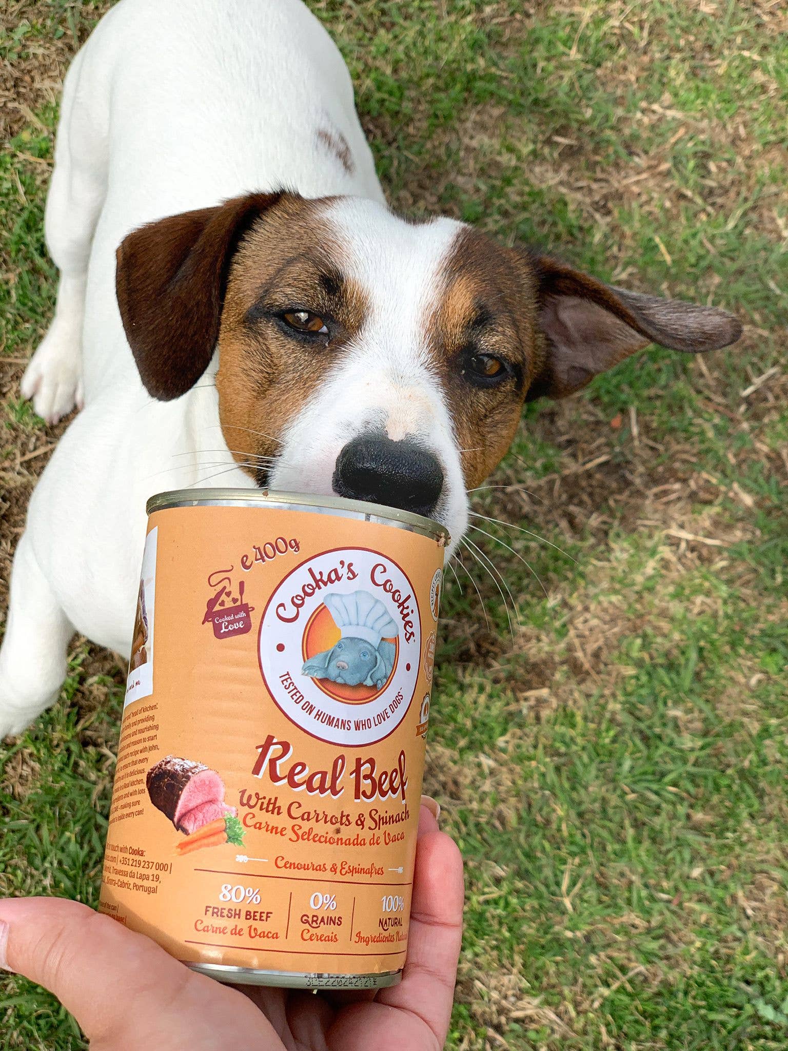 Cooka's Cookies - Vente Nourriture – chien - Real Beef - Pâté naturel pour chien humide5