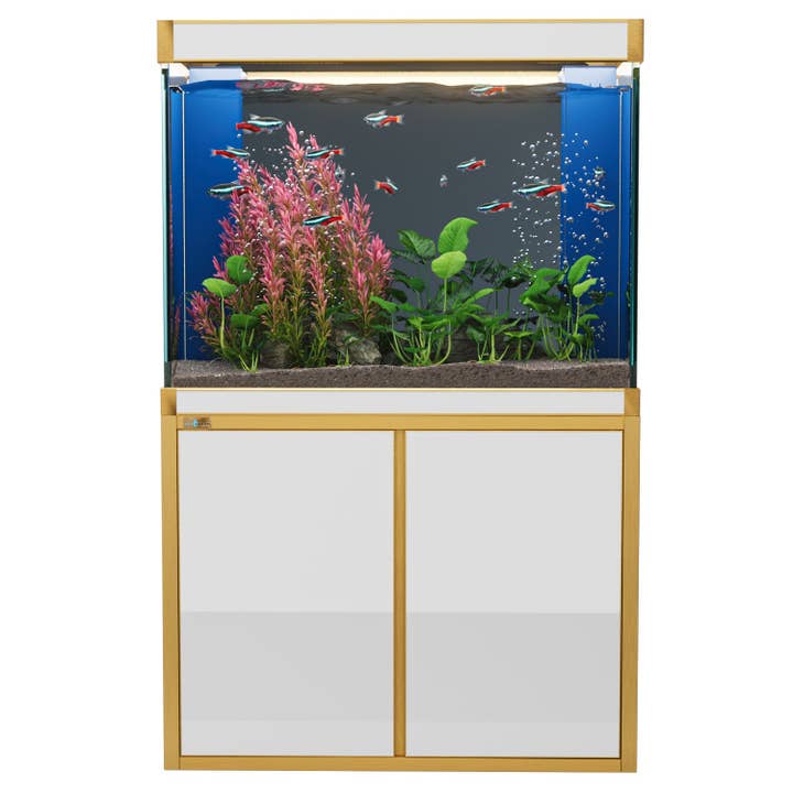 100 Gallon Aquarium – White & Gold Tempered Glass for wholesale by AQUA DREAM