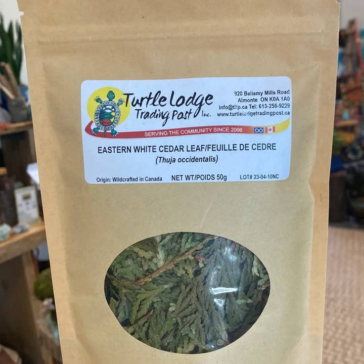 Eastern White Cedar Leaf Tea for wholesale by Prana by Lana