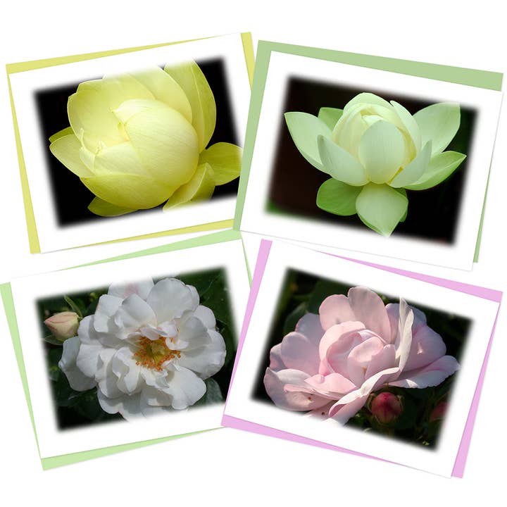 Serenity Note Card Bundle, Stationery Box Set for wholesale by LindaGeez