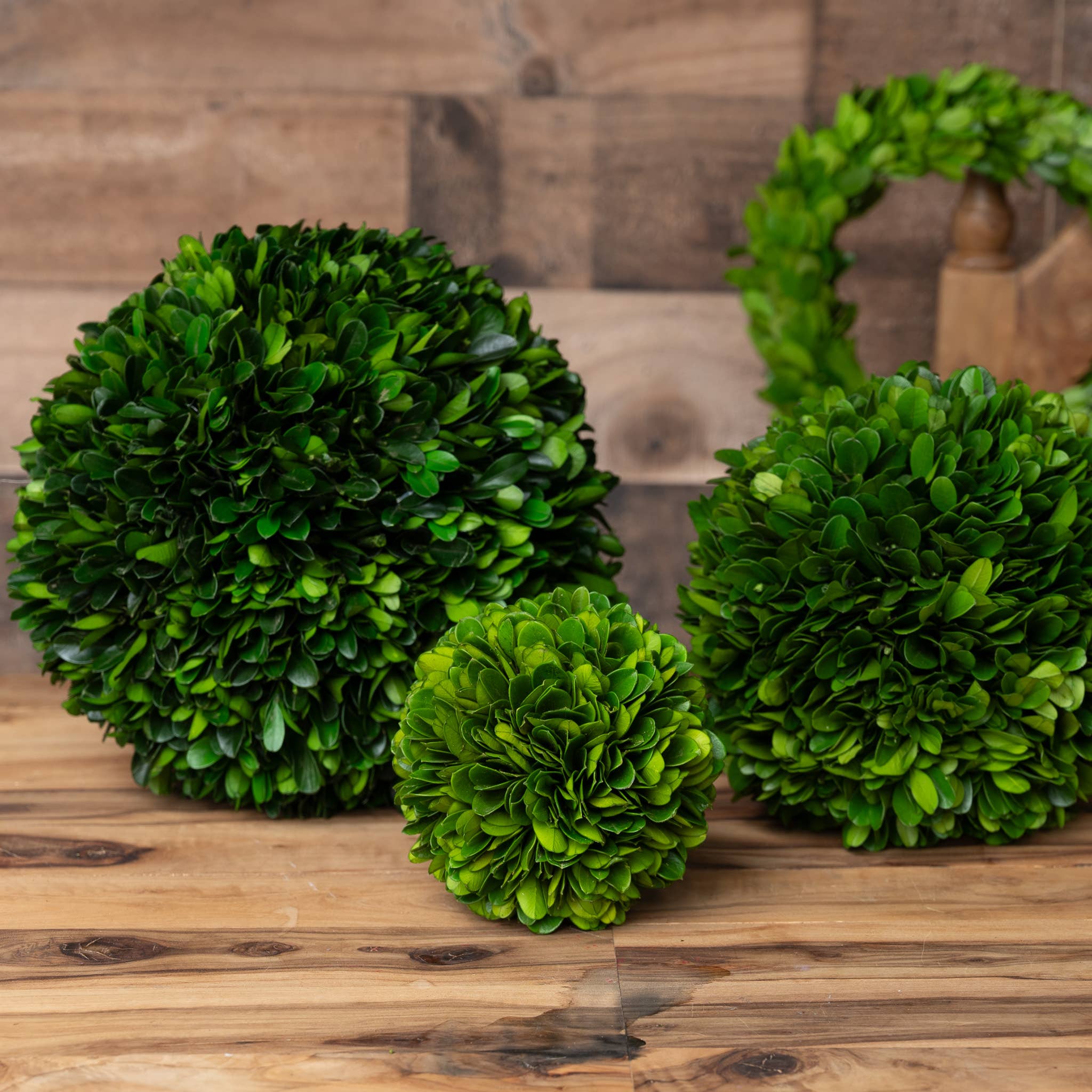 Mills Floral Company - Vendita all'ingrosso Piante artificiali - Sfera in legno di bosso conservato - 4 pollici1