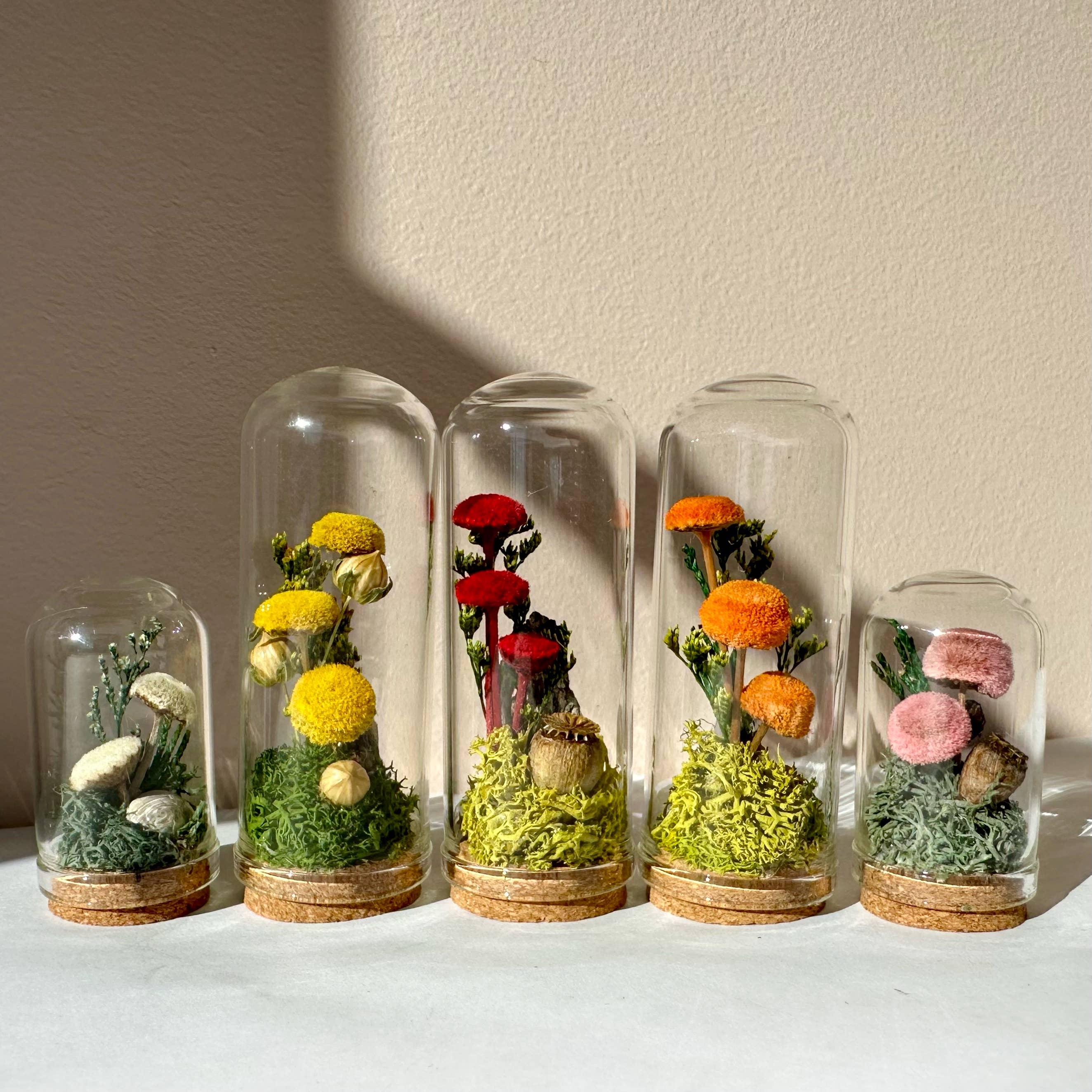 CA Studios - Wholesale Terrarium - Mushroom Mix Terrarium Glass Cloche Cork Jar & Florals5
