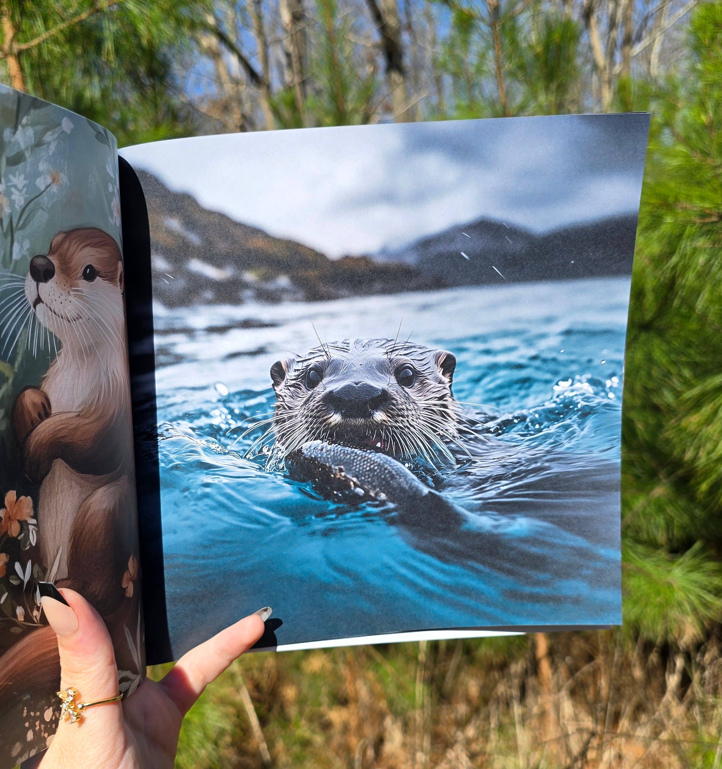 Author Linda Blackmoor - Wholesale Preschool Book (3-5) - Wildlife in Bloom: Little Otter4
