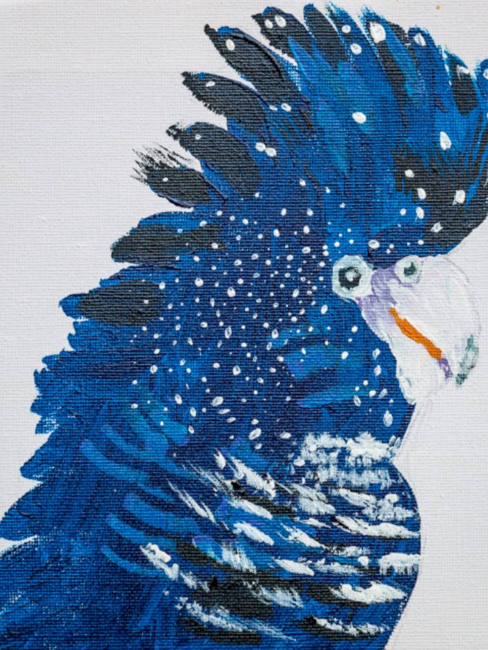MAGESTIC AS A COCKATOO for wholesale by Sarah CK Art