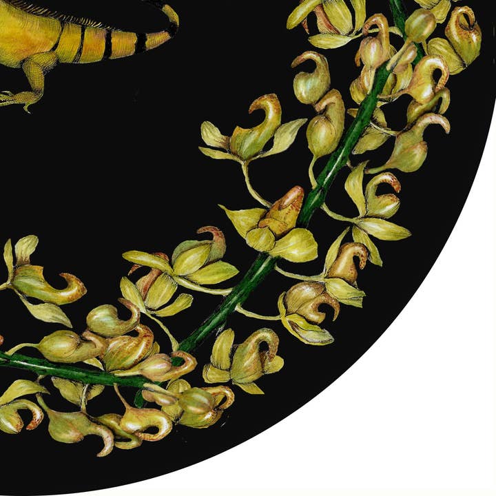 SENA CIFUENTES - Wholesale Wall Accent - ROUND ALIA 31