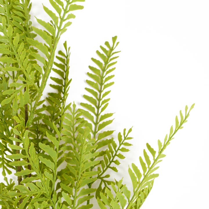 Leaf Design UK LTD – wholesale Artificial plant – Pack 6x Artificial Foliage Himilayan Fern Stem 95cm2