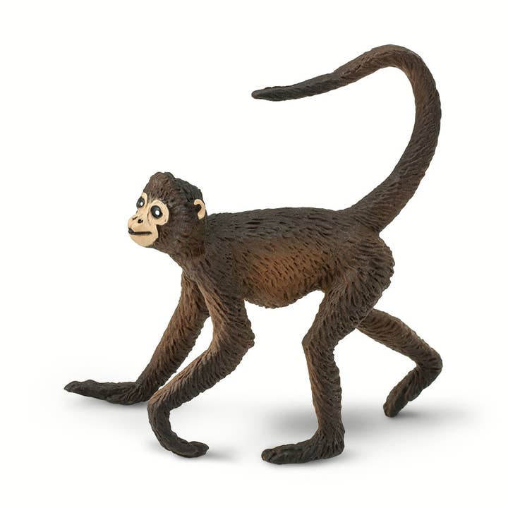 Spider Monkey - 291629 for wholesale by Safari Ltd.