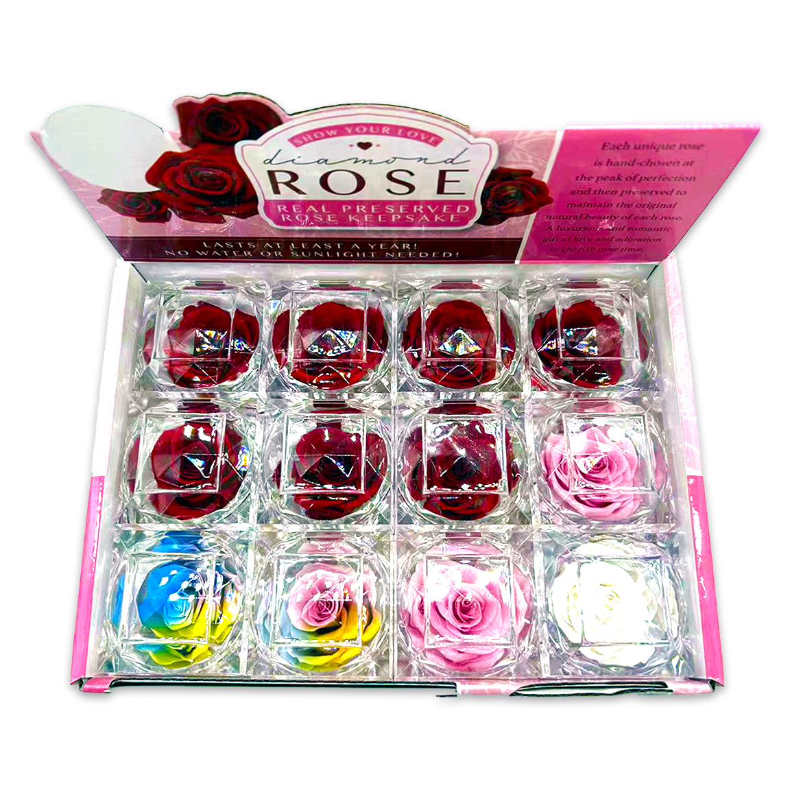 Novelty Brands - Wholesale Retailer Display - Home & Living - Real Preserved Rose Keepsake Gift Assortment - 12/Display1