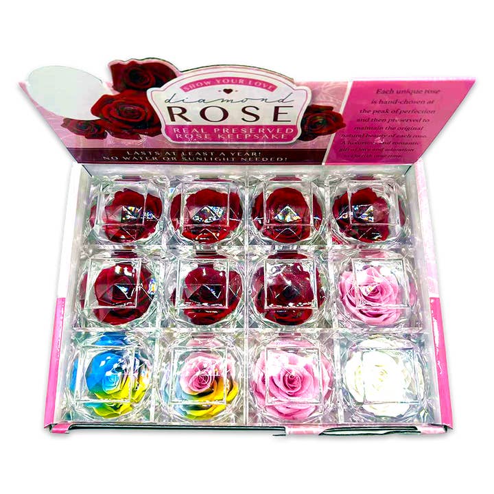 Novelty Brands - Wholesale Retailer Display - Home & Living - Real Preserved Rose Keepsake Gift Assortment - 12/Display1