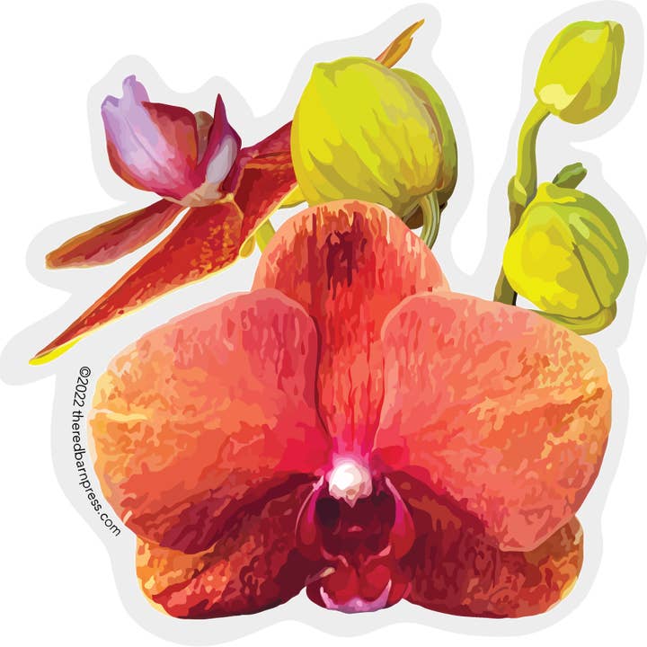 Clear Edge Floral Sticker | Orchid with Buds for wholesale by The Red Barn Press