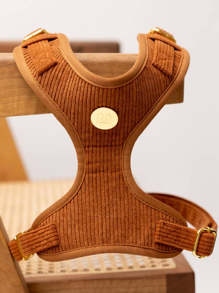 HUNDESELE CHOKOLADE for engroshandel hos Moniandme