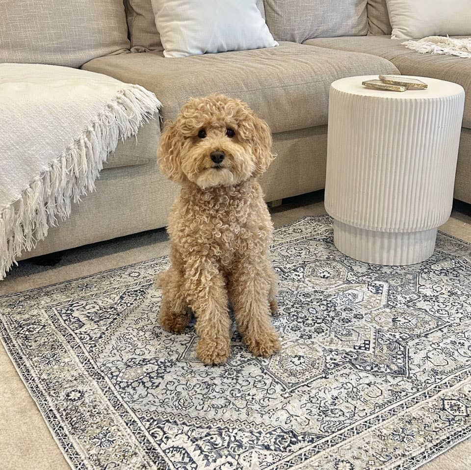 Wallabaga - Vendita all'ingrosso Tappetino - Cani - La società Avalon 3