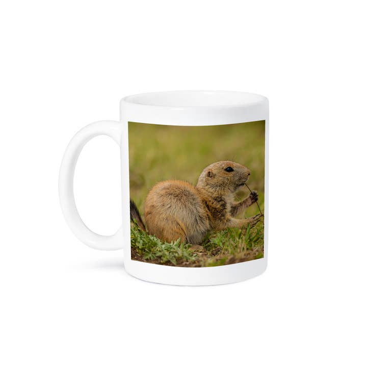 3dRose - Wholesale Coffee Mug - 3dRose, Oklahoma, Wichita Mountains. Aggressive black-tailed prairie dog., Mug8